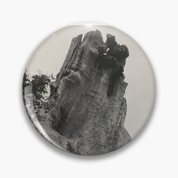 Item preview, Tree Photograph designed and sold by Shannon Greve.