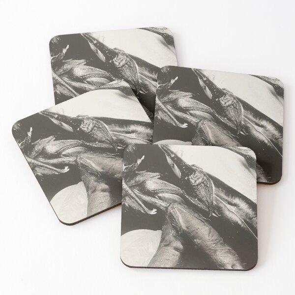 Item preview, Eggplant Photograph designed and sold by Shannon Greve.