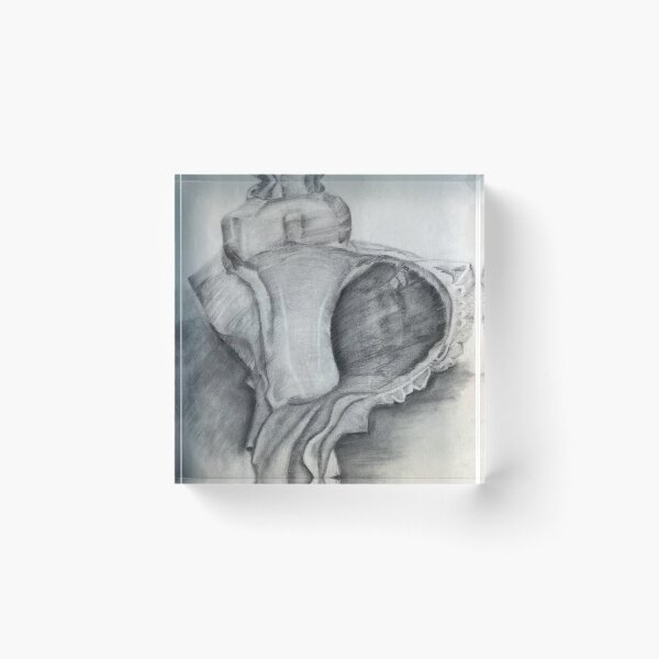 Item preview, Shell Drawing designed and sold by Shannon Greve.