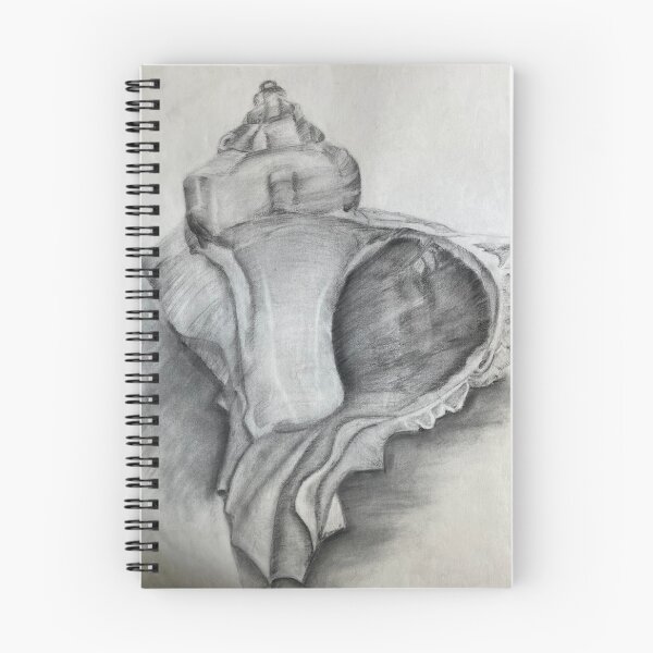 Item preview, Shell Drawing designed and sold by Shannon Greve.