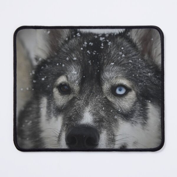 Item preview, Koga in Winter designed and sold by LunarDogs.