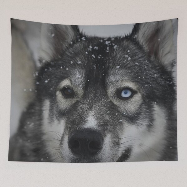 Item preview, Koga in Winter designed and sold by LunarDogs.
