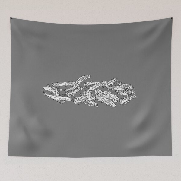 Item preview, Osteichthyes (bonyfish) - Evolution  designed and sold by EvolutionPoster.