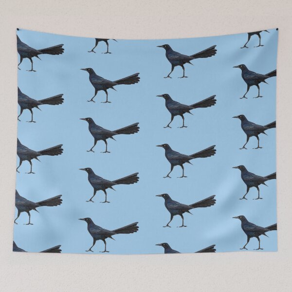 Item preview, Great-tailed Grackle Color Design  designed and sold by designsasstultd.