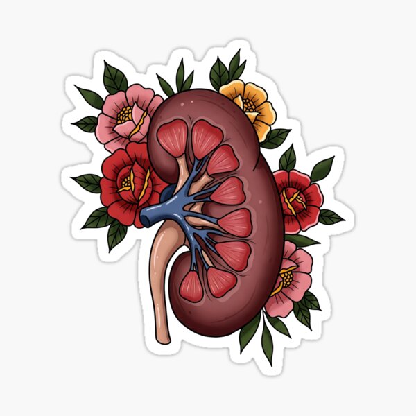Item preview, Kidney Anatomy Neo-Traditional Tattoo Style Pathology Assistant Medicine  designed and sold by LethallyBlonde.