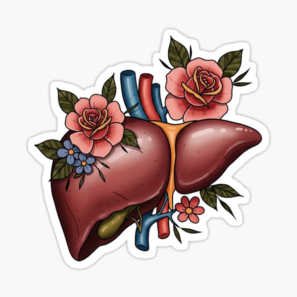 Item preview, Liver Neo-Traditional Tattoo Style Pathology Medicine Anatomy designed and sold by LethallyBlonde.