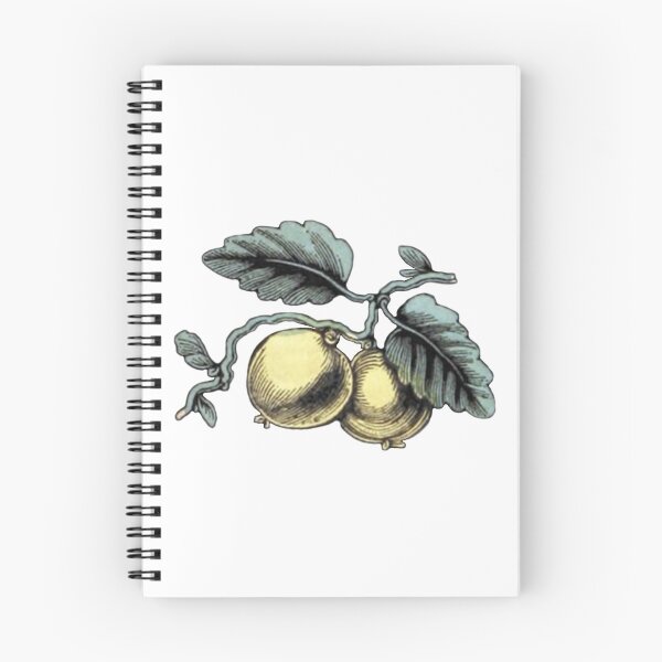 Item preview, Lemon Plant Drawing  designed and sold by HawthorneFlame.