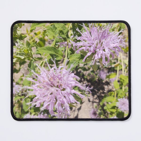 Item preview, Bergamot in Bloom designed and sold by JessParkerPMP.