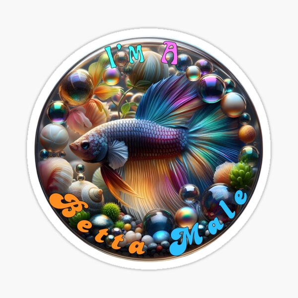 Artikelvorschau, Lebendiges Betta-Fisch-Logo mit dem Text „Ich bin ein männlicher Betta“ entworfen und verkauft von bAIryBarn.