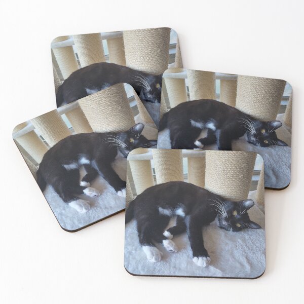 Item preview, Contented Cute Tuxedo Kitten designed and sold by JessParkerPMP.