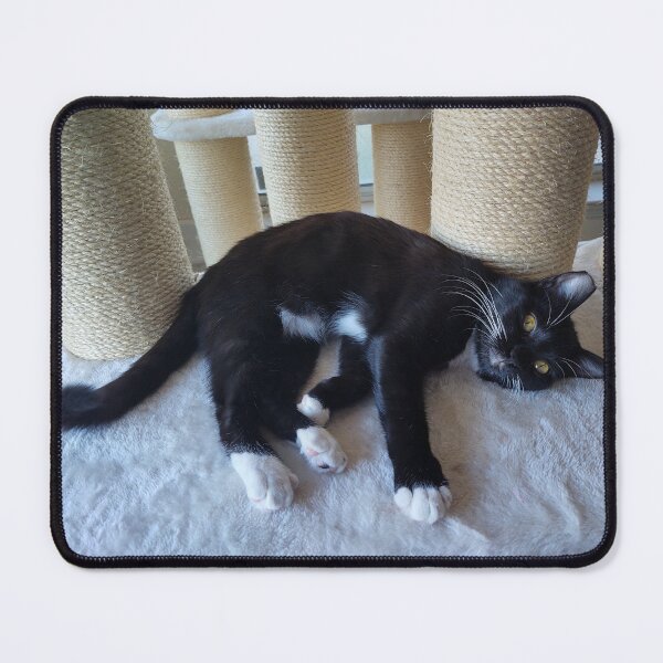 Item preview, Contented Cute Tuxedo Kitten designed and sold by JessParkerPMP.