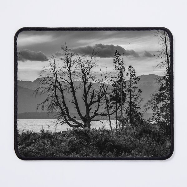 Item preview, Panoramic waterfront forest an nahuel haupi lake, rio negro, argentina designed and sold by DFLC Prints.