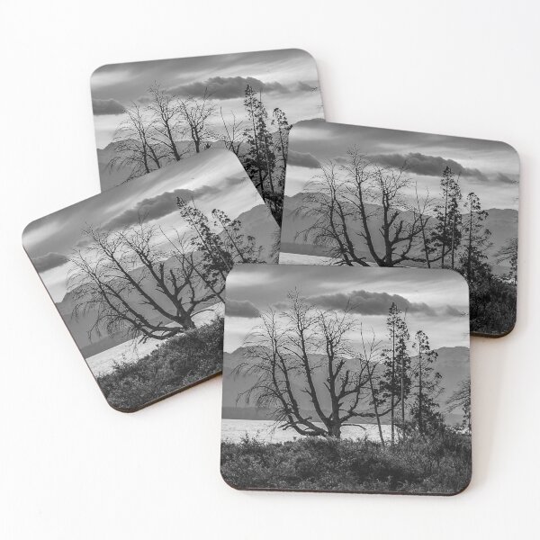 Item preview, Panoramic waterfront forest an nahuel haupi lake, rio negro, argentina designed and sold by DFLC Prints.
