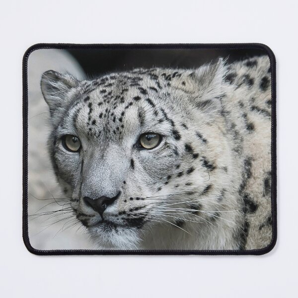 Item preview, Snow Leopard designed and sold by blindphotog.