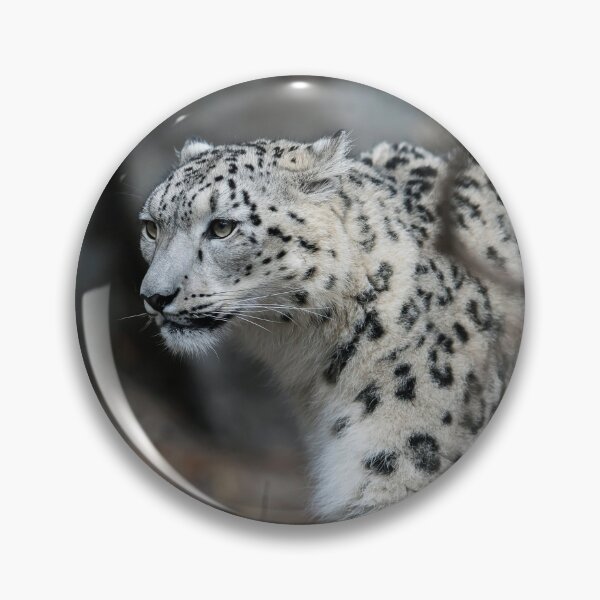 Item preview, Snow Leopard Walking Though The Undergrowth designed and sold by blindphotog.
