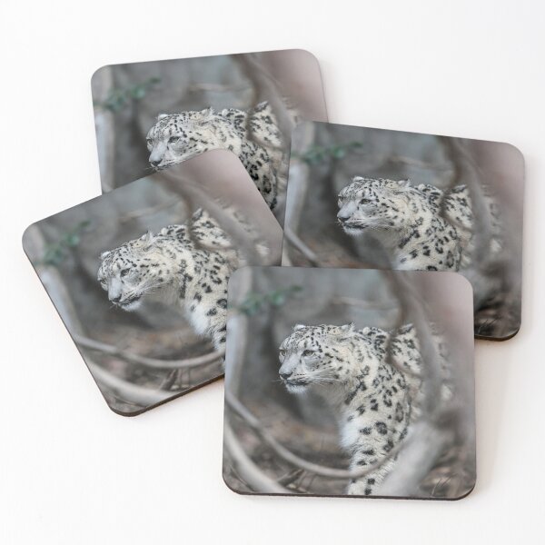 Item preview, Snow Leopard Walking Though The Undergrowth designed and sold by blindphotog.