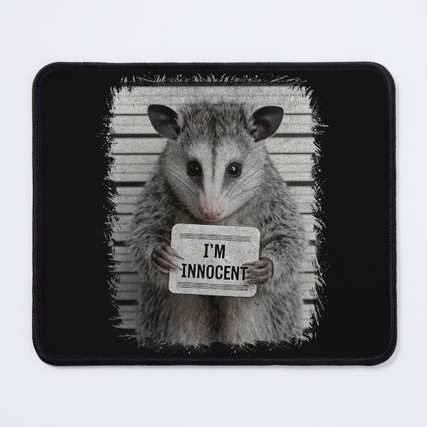 Artikelvorschau, Ich bin unschuldiges Possum-Fahndungsfoto entworfen und verkauft von MaxOutDesign.