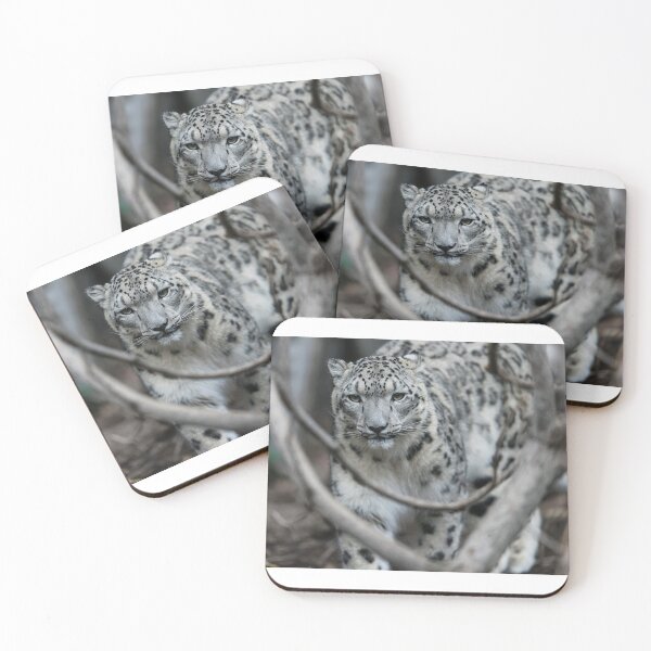 Item preview, Snow Leopard Walking Though The Undergrowth designed and sold by blindphotog.