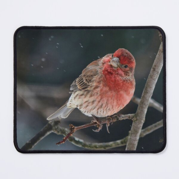 Item preview, What Is Happening designed and sold by Lois  Bryan.