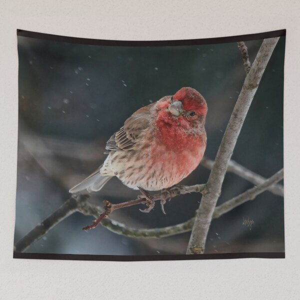 Item preview, What Is Happening designed and sold by Lois  Bryan.