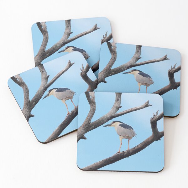 Item preview, Black-crowned Night Heron Perched In a Tree designed and sold by BackyardBirder.