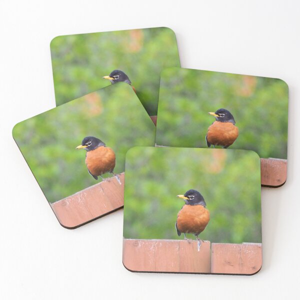 Item preview, American Robin Perched On a Fence designed and sold by BackyardBirder.