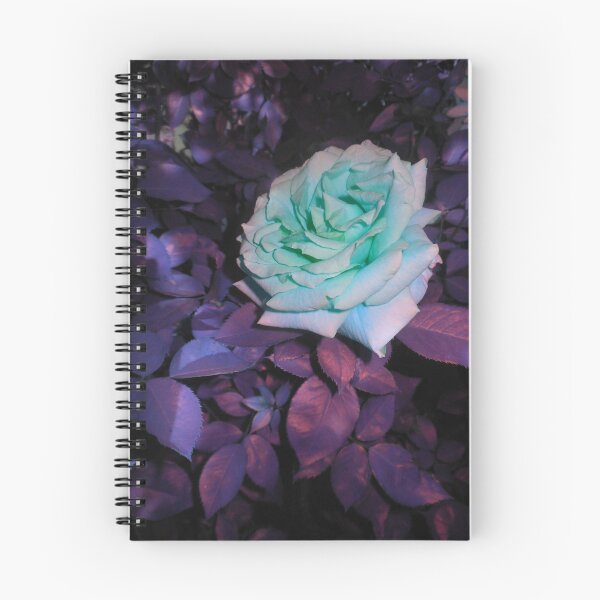 Item preview, turquoise rose, purple bg 05/28/18 designed and sold by Shellaqua.