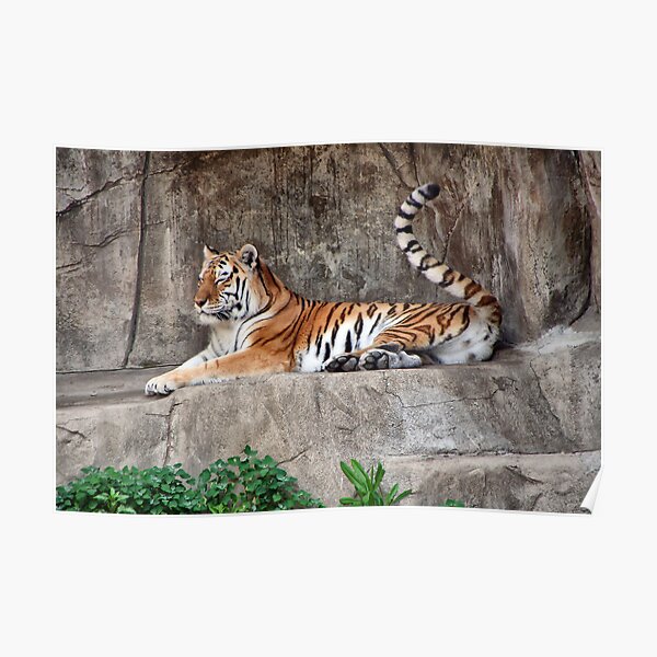 I'M JUST RESTING Poster