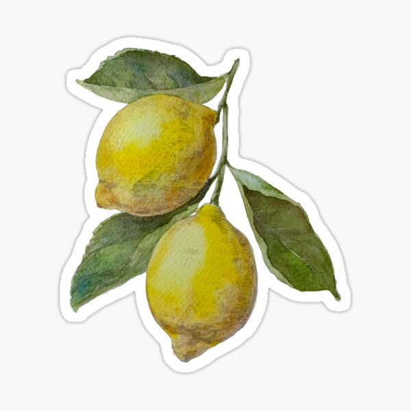 Item preview, Lemon branch hand painted watercolor  designed and sold by Bexmoony.