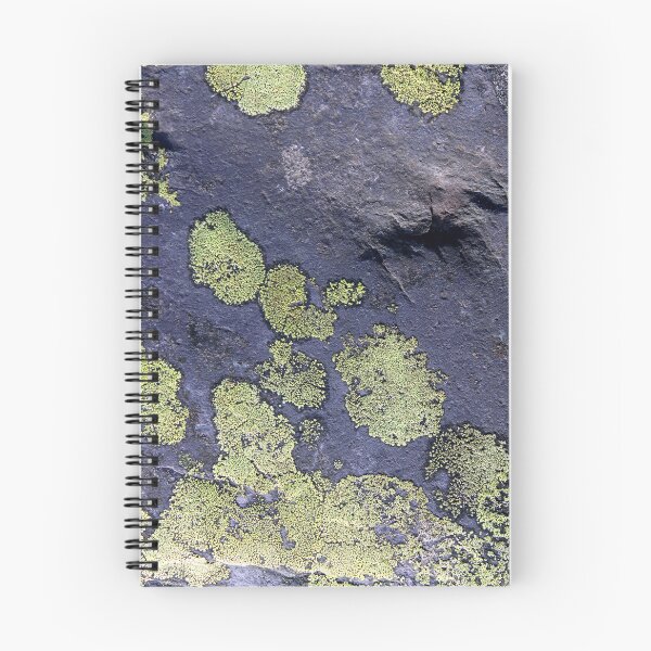 Item preview, lichen designed and sold by KathleenDawson.