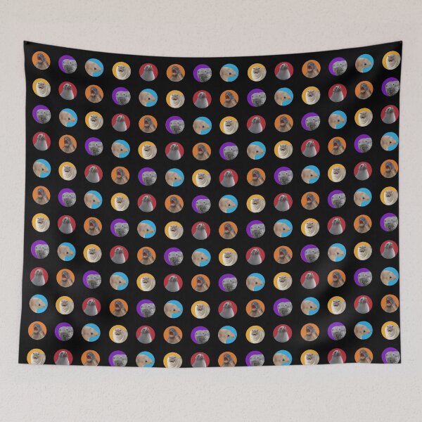 Item preview, Pinniped pack - NZ Sea Lion, Fur Seal, Leopard Seal, and Elephant Seal designed and sold by GivernyKate.