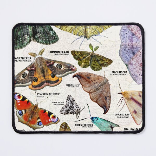 Item preview, Lepidoptera of Europe Scientific Diagram designed and sold by wesleykshaver.