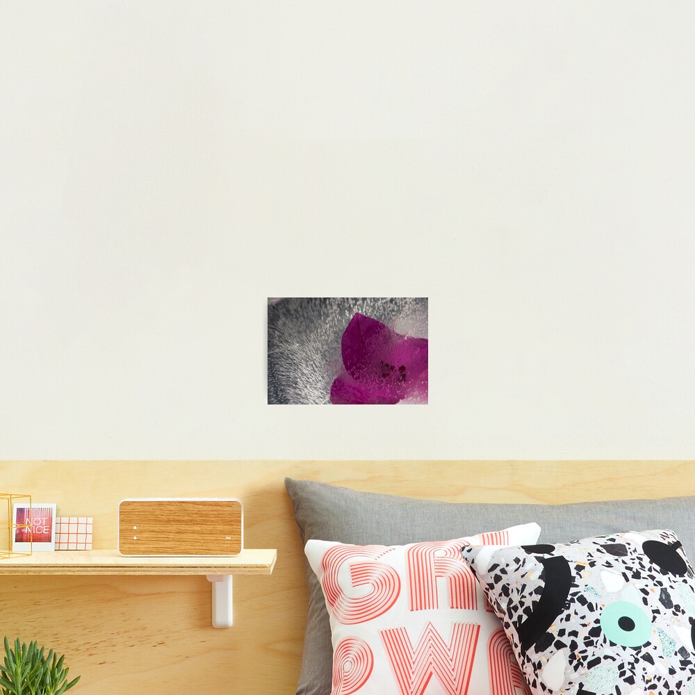 Item preview, Photographic Print designed and sold by RudolfKarpati.