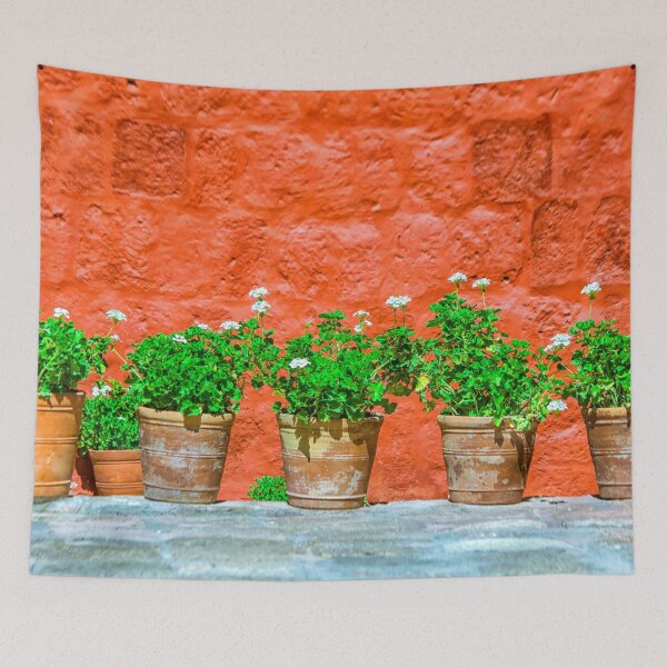 Item preview, Geranium plants in pots designed and sold by Photopat.