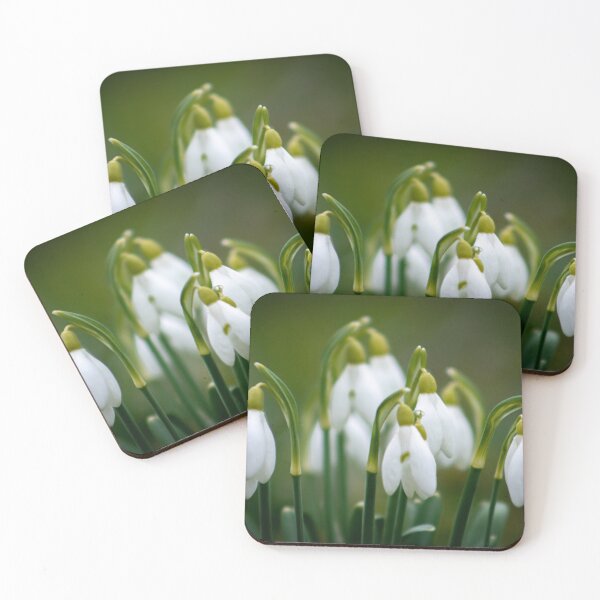 Item preview, Spring flowers1 designed and sold by YarekPhoto.