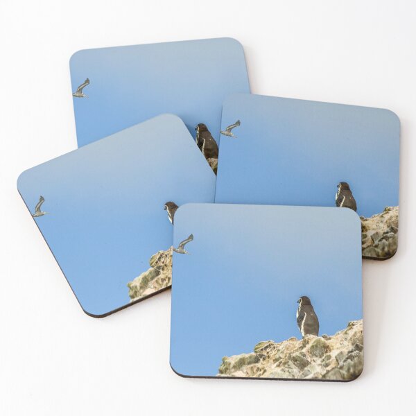 Item preview, Humboldt penguin designed and sold by Photopat.