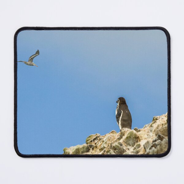 Item preview, Humboldt penguin designed and sold by Photopat.