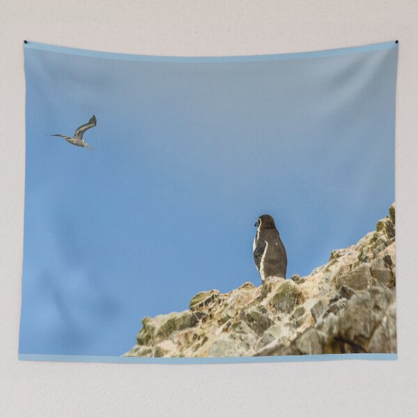 Item preview, Humboldt penguin designed and sold by Photopat.