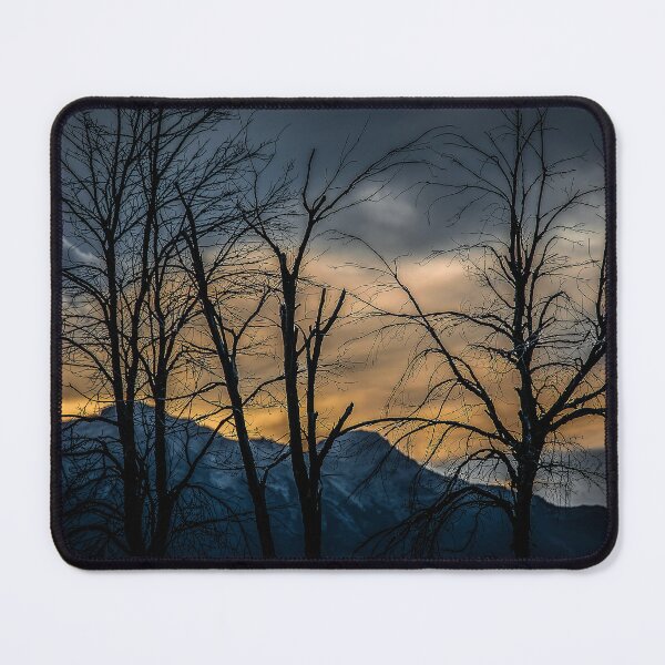 Item preview, Tree silhouette at border of nahuel haupi lake, rio negro, argentina designed and sold by DFLC Prints.