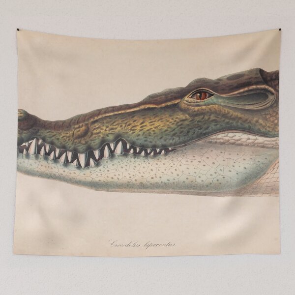 Item preview, Victorian Scientific Illustration of a Crocodile Head designed and sold by InnerCitadel.