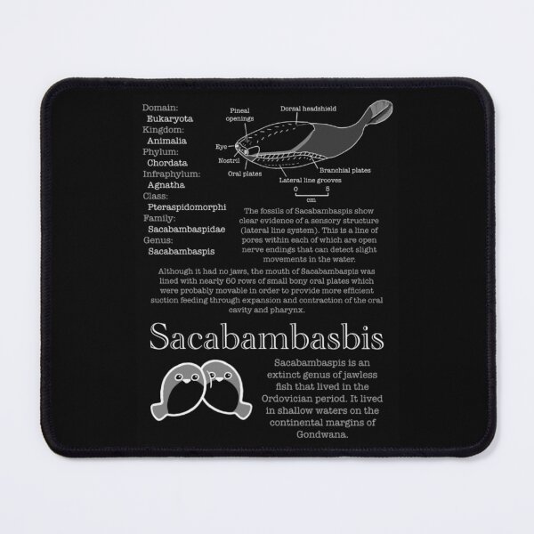 Item preview, Sacabambaspis data file designed and sold by AmIAnAngelYet.