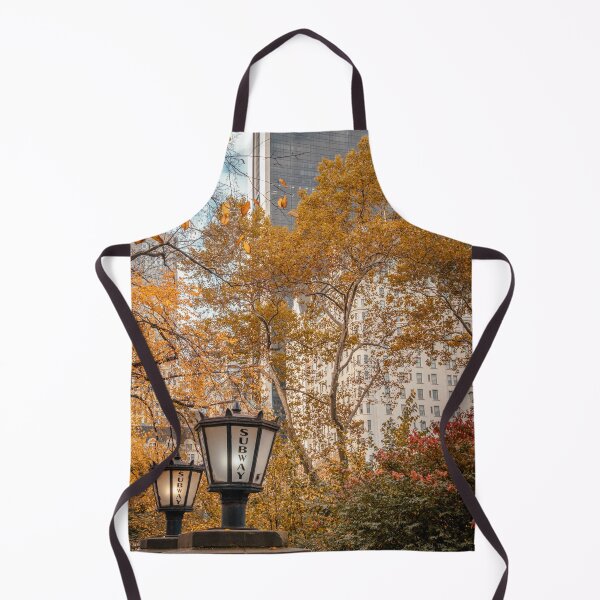 Item preview, Subway entry at the south of Central Park designed and sold by LeandroNazar.