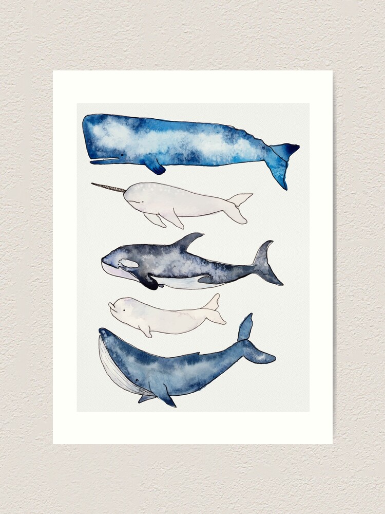 Alternate view of Watercolor Whales Art Print