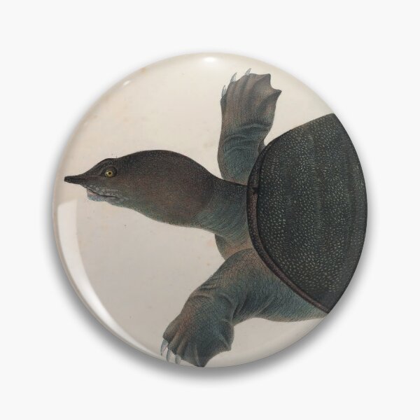 Item preview, Vintage Turtle Scientific Illustration designed and sold by InnerCitadel.