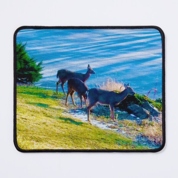 Item preview, Westport, CT - Sam's Series - Landscape with Deer designed and sold by GiftsbyNaomi.