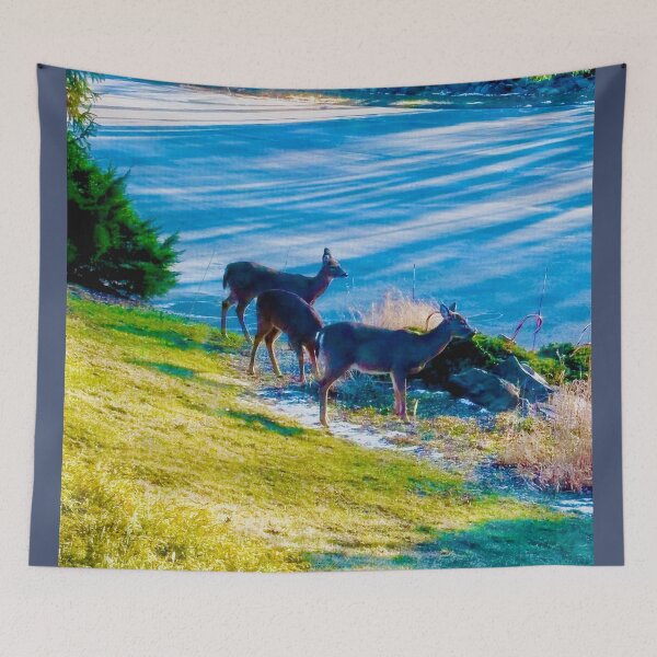 Artikelvorschau, Westport, CT - Sams Serie - Landschaft mit Hirschen entworfen und verkauft von GiftsbyNaomi.
