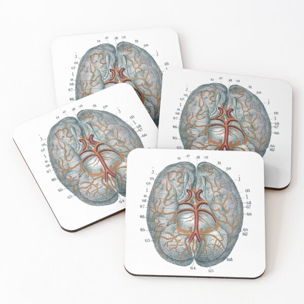 Item preview, Vintage Human Brain Anatomy Illustration in Color designed and sold by HawthorneFlame.