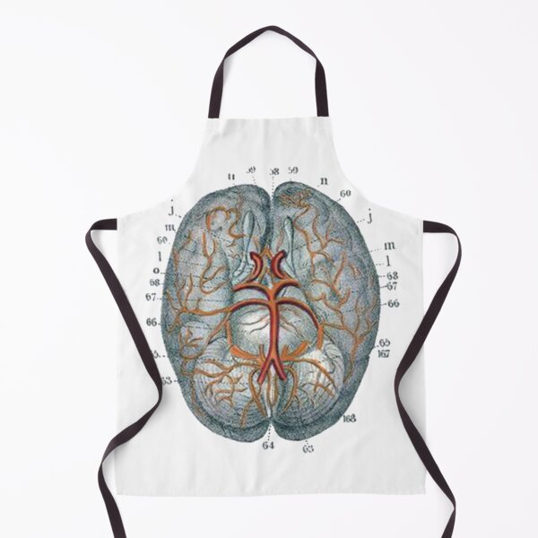 Item preview, Vintage Human Brain Anatomy Illustration in Color designed and sold by HawthorneFlame.