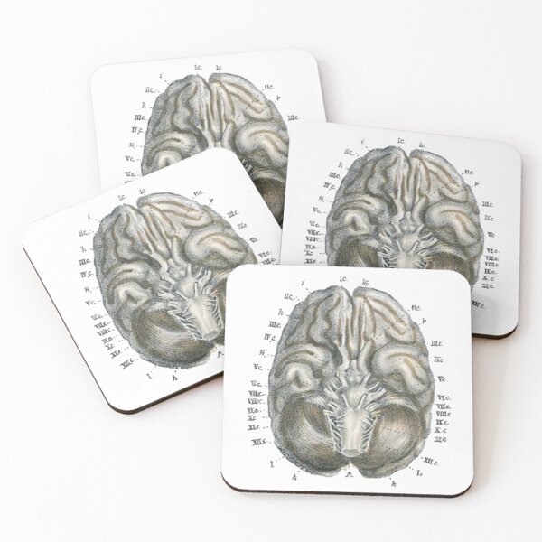 Item preview, Vintage Human Brain Anatomy Illustration 2 designed and sold by HawthorneFlame.