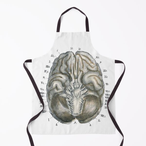 Item preview, Vintage Human Brain Anatomy Illustration 2 designed and sold by HawthorneFlame.